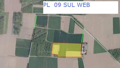 Progetto locale 09 sul Web