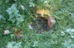Villa e giardino Cusani Traversi Tittoni – 2008: bocchetta superiore di un condotto sotterraneo del parco